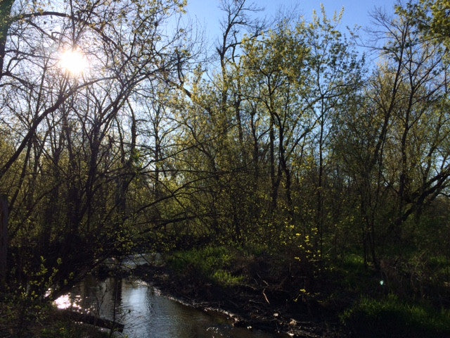 how was your Earth Day?
