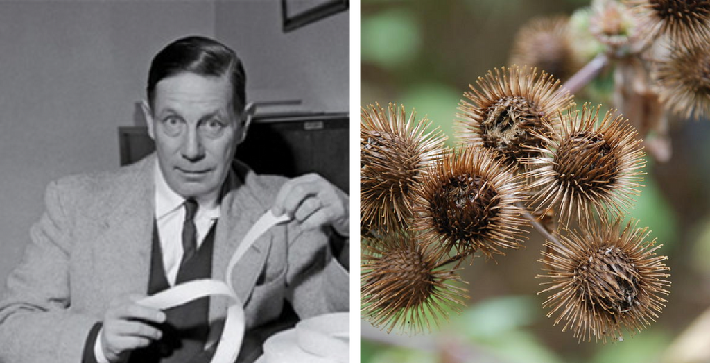 Do you know the Velcro® story?