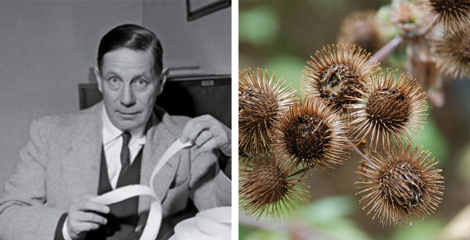 Do you know the Velcro® story?