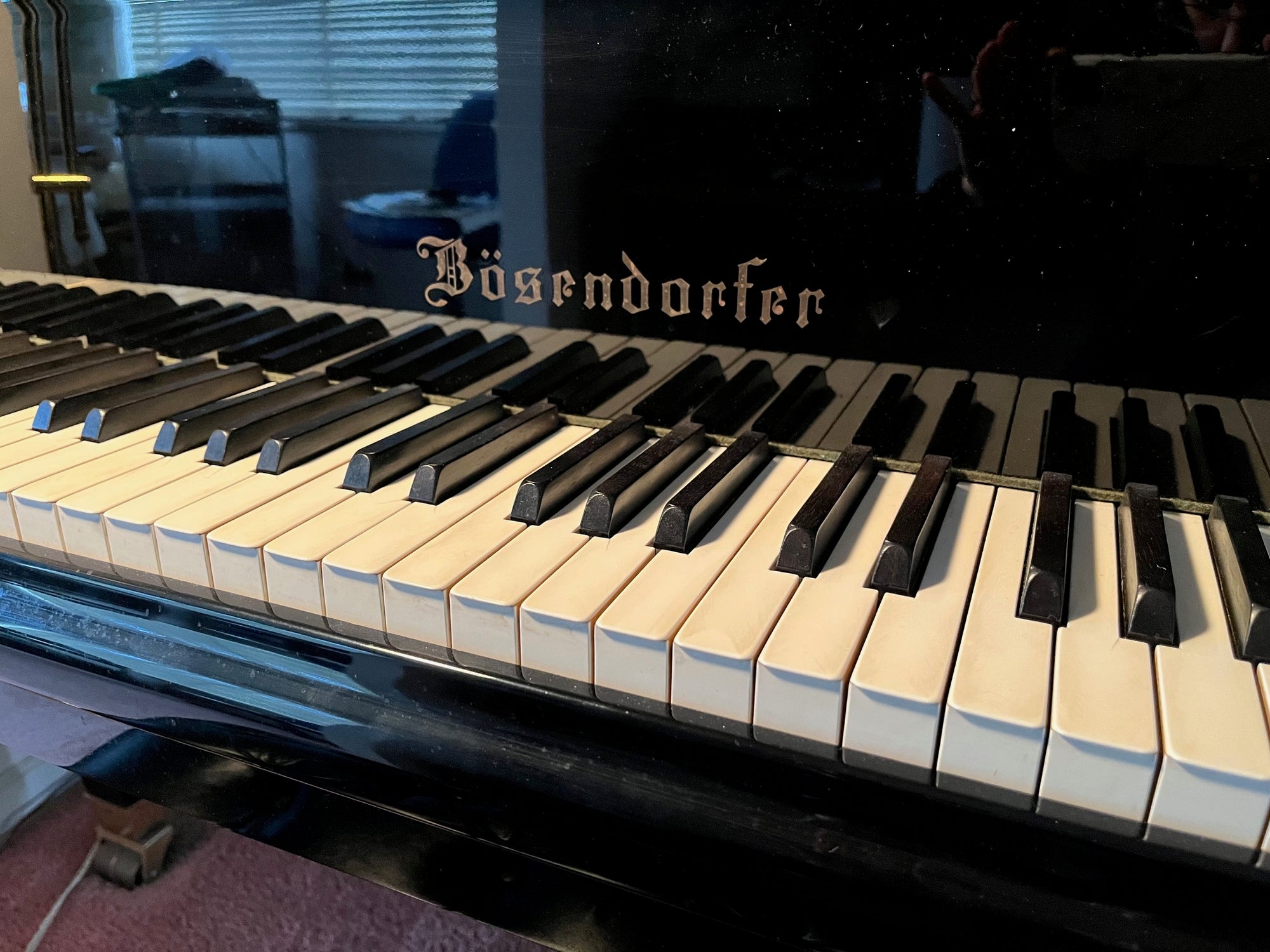 Music to soothe the soul